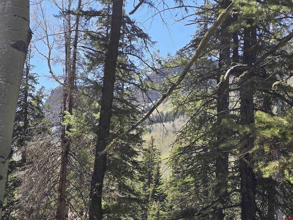 331 Beaver Circle Durango CO 81301