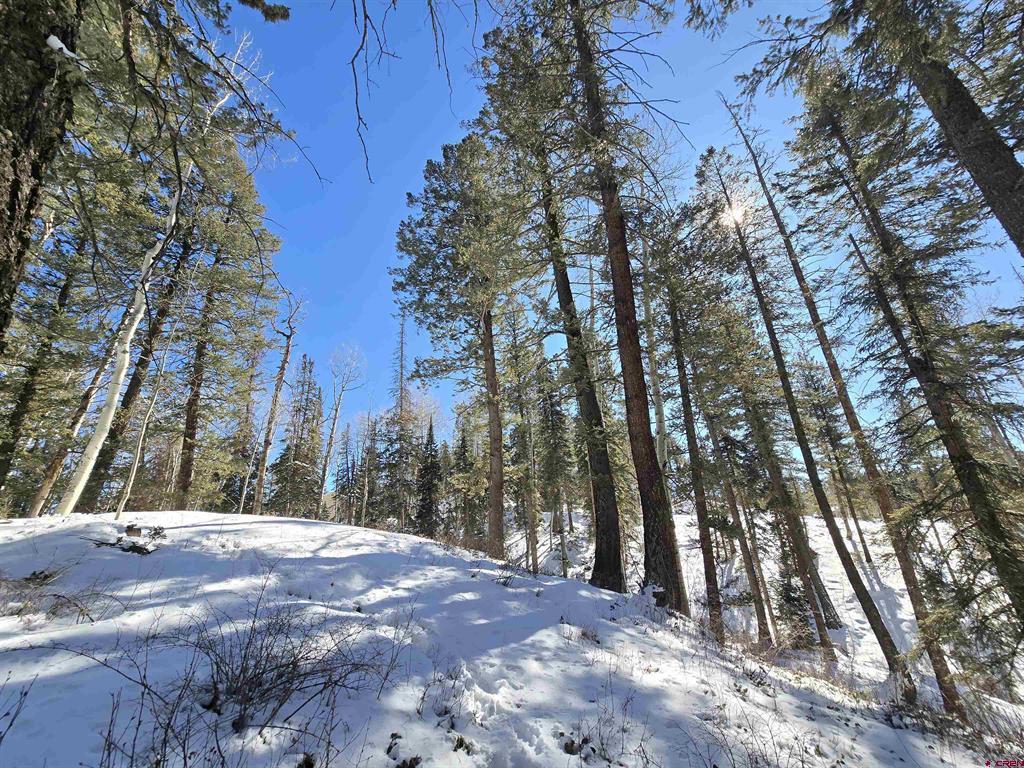 331 Beaver Circle Durango CO 81301