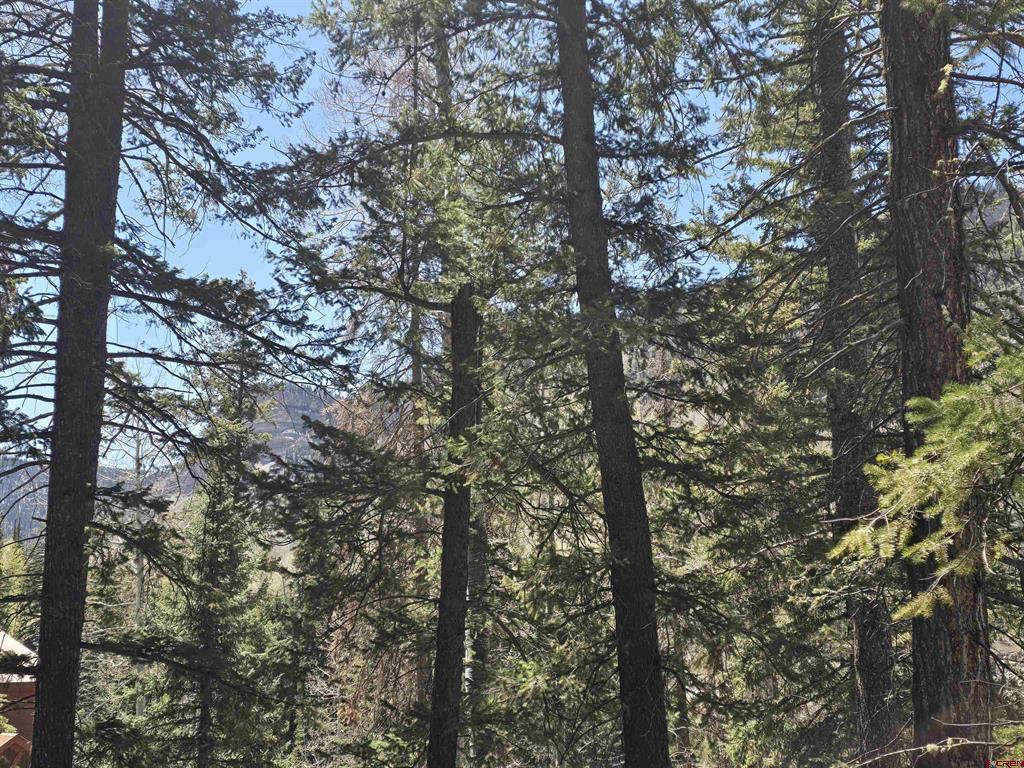 331 Beaver Circle Durango CO 81301