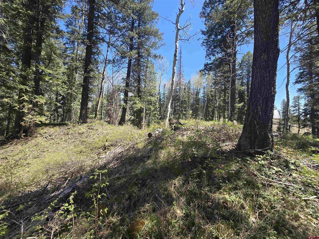 331 Beaver Circle Durango CO 81301