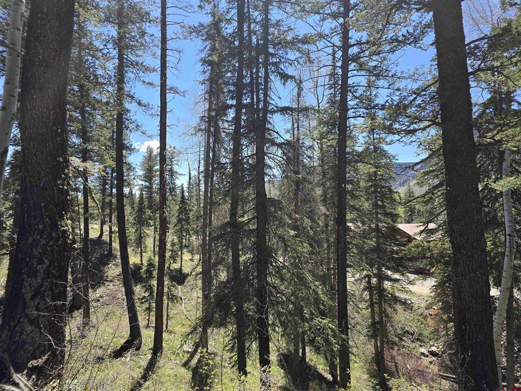 331 Beaver Circle Durango CO 81301