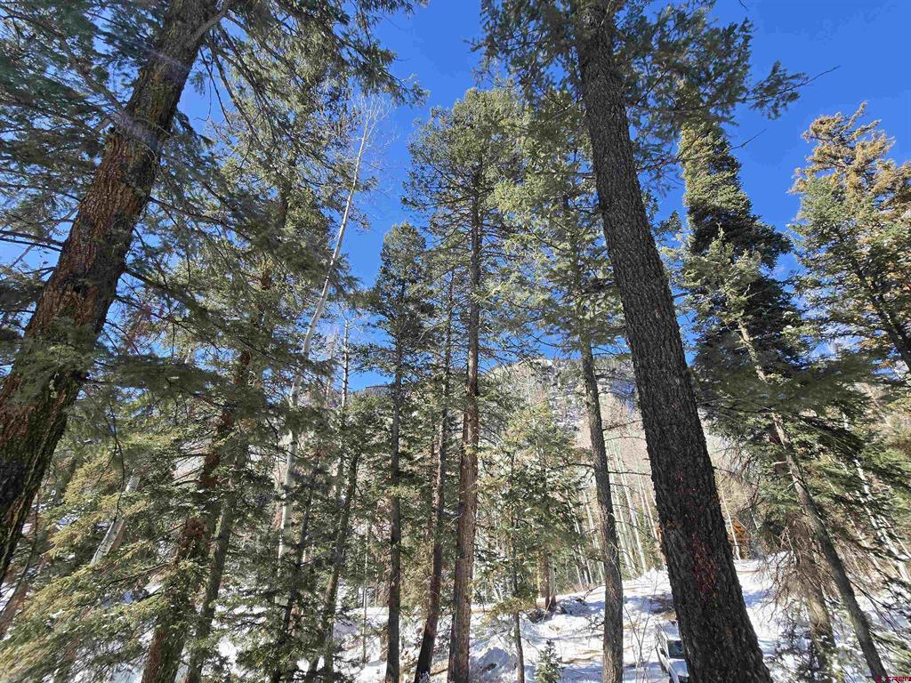 331 Beaver Circle Durango CO 81301