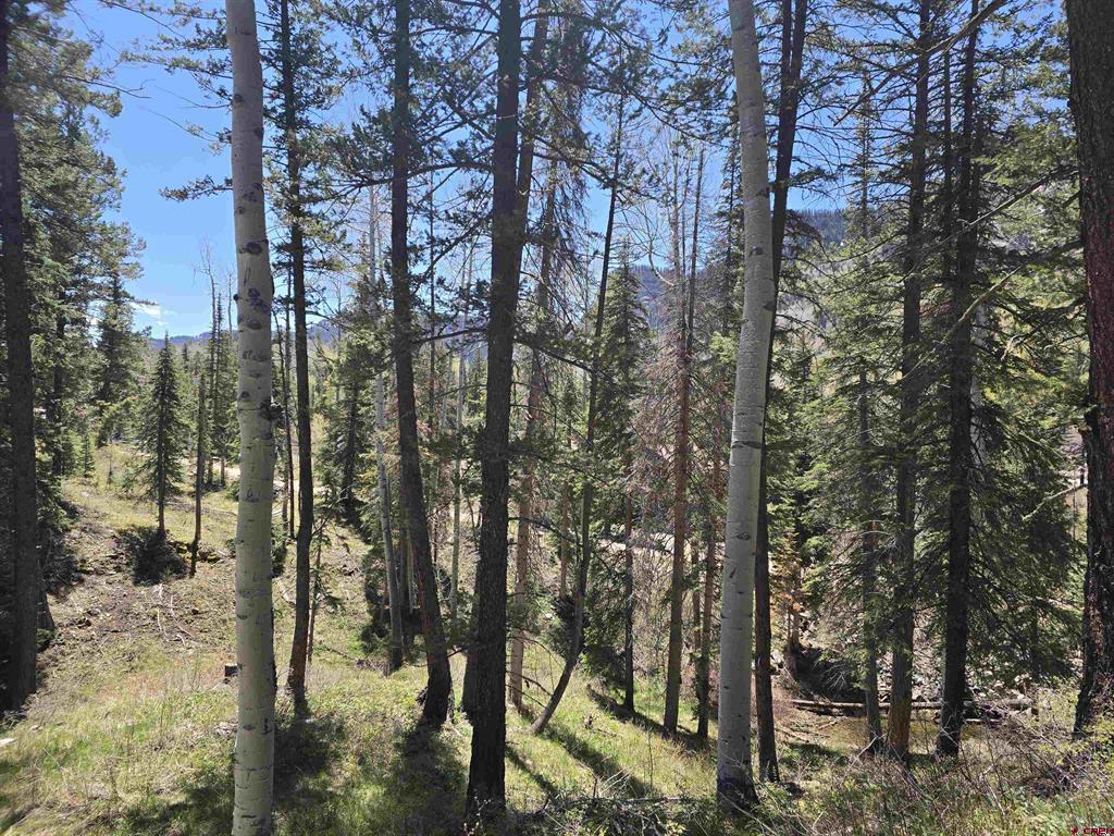 331 Beaver Circle Durango CO 81301