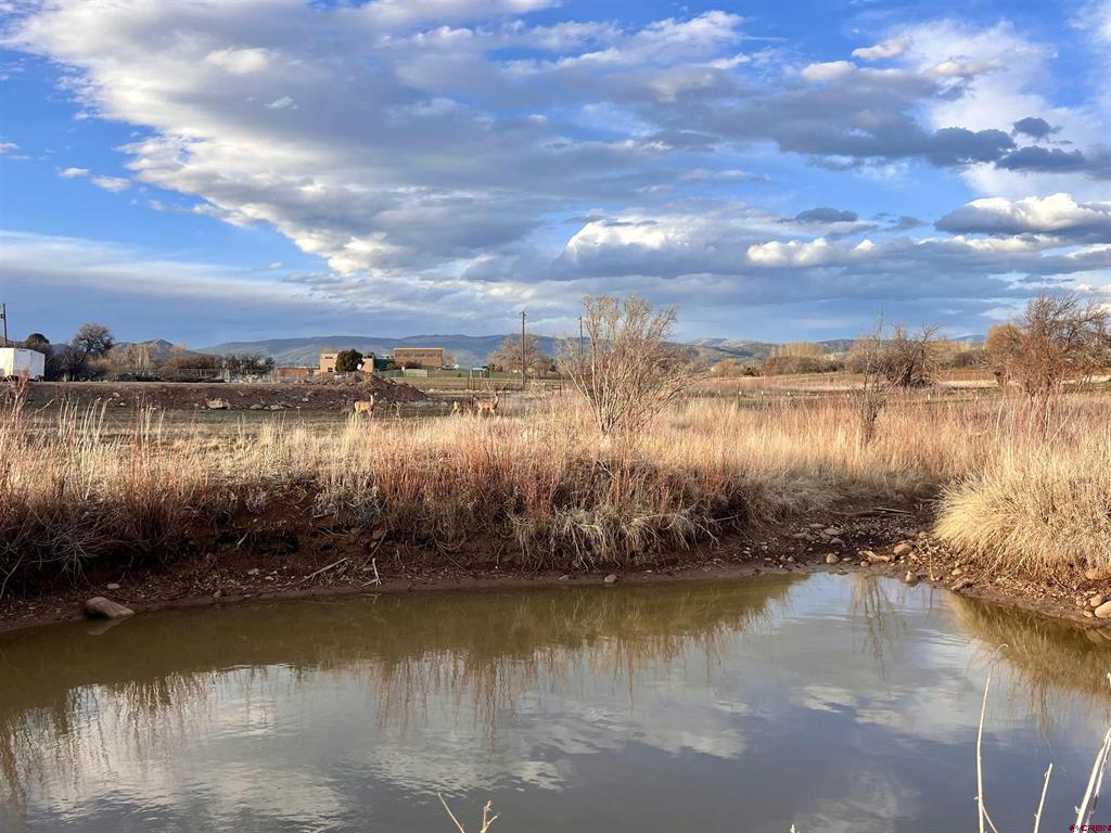 478 Highway 172 Durango CO 81303