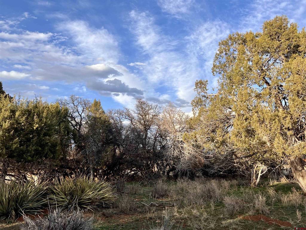 478 Highway 172 Durango CO 81303