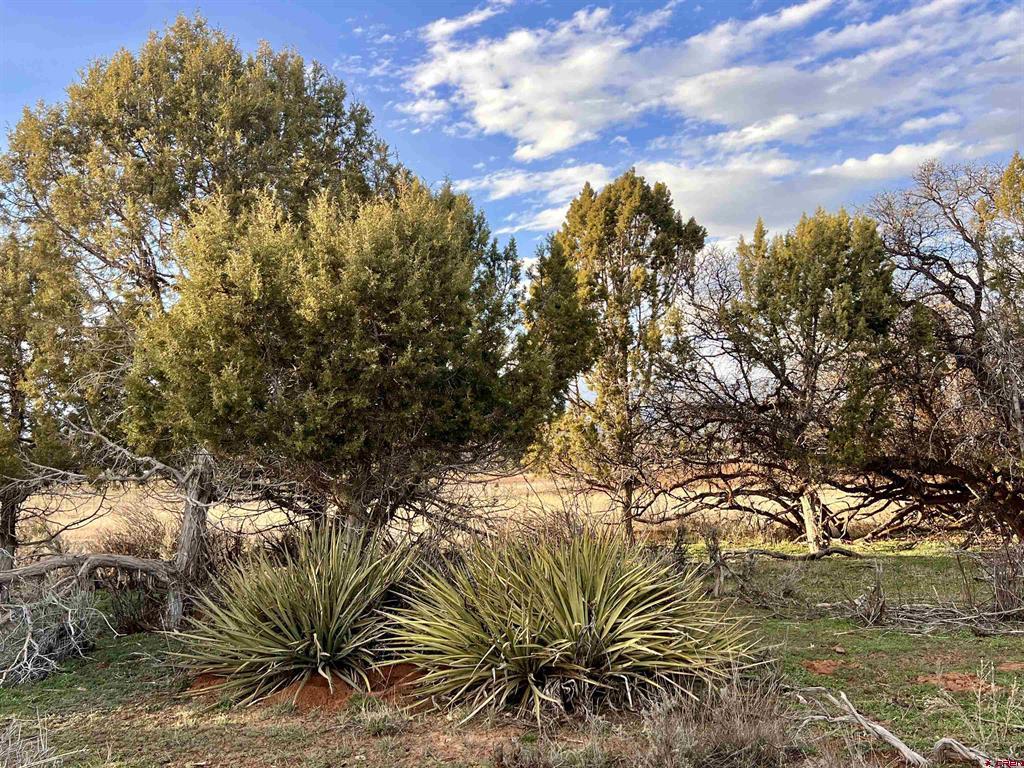 478 Highway 172 Durango CO 81303