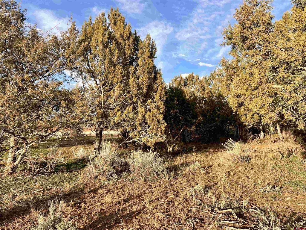 478 Highway 172 Durango CO 81303