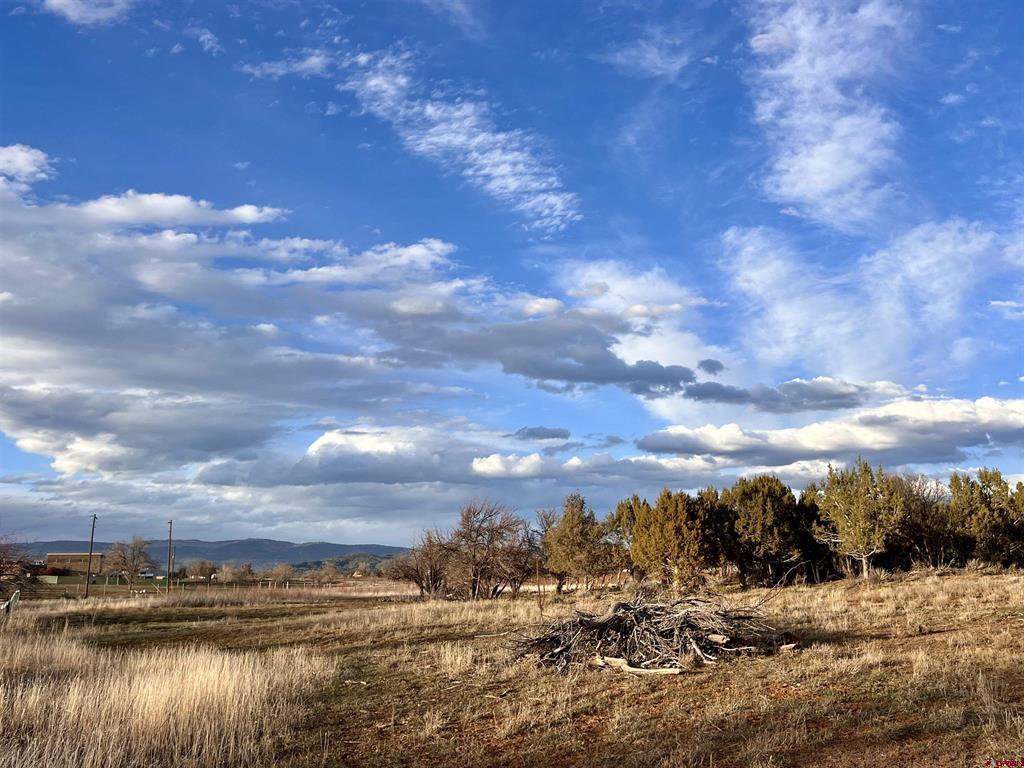 478 Highway 172 Durango CO 81303