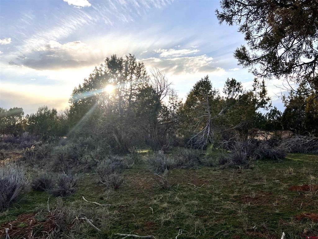 478 Highway 172 Durango CO 81303