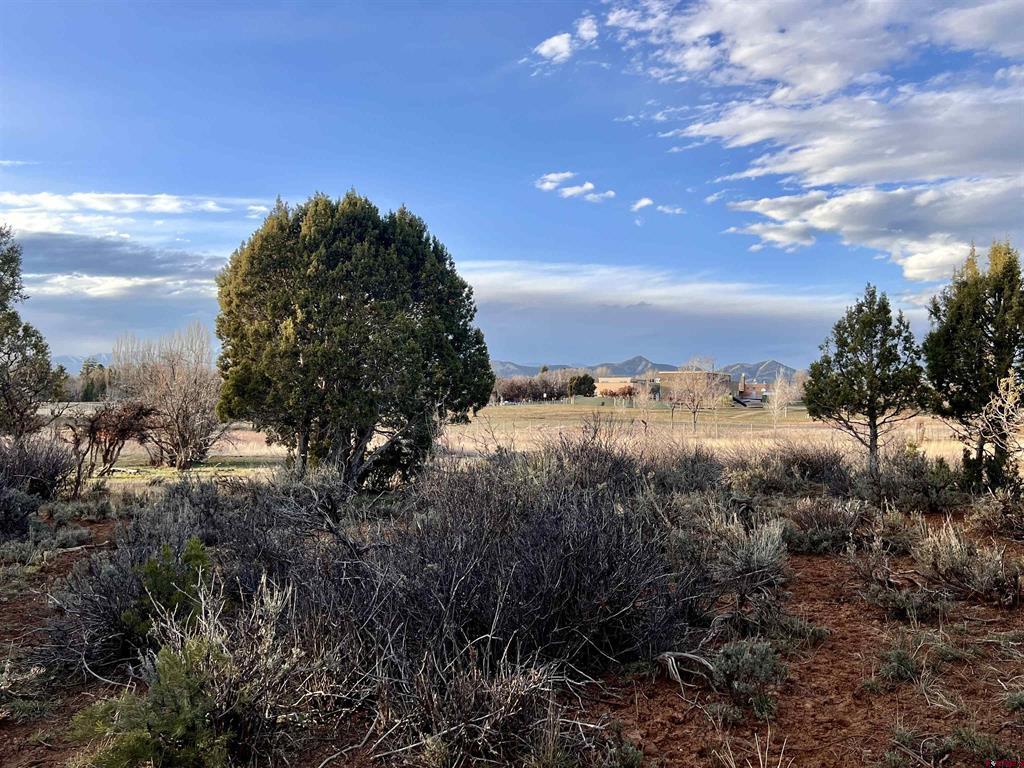 478 Highway 172 Durango CO 81303