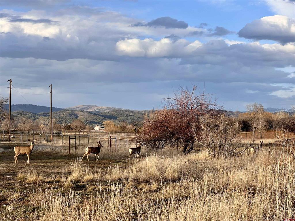 478 Highway 172 Durango CO 81303