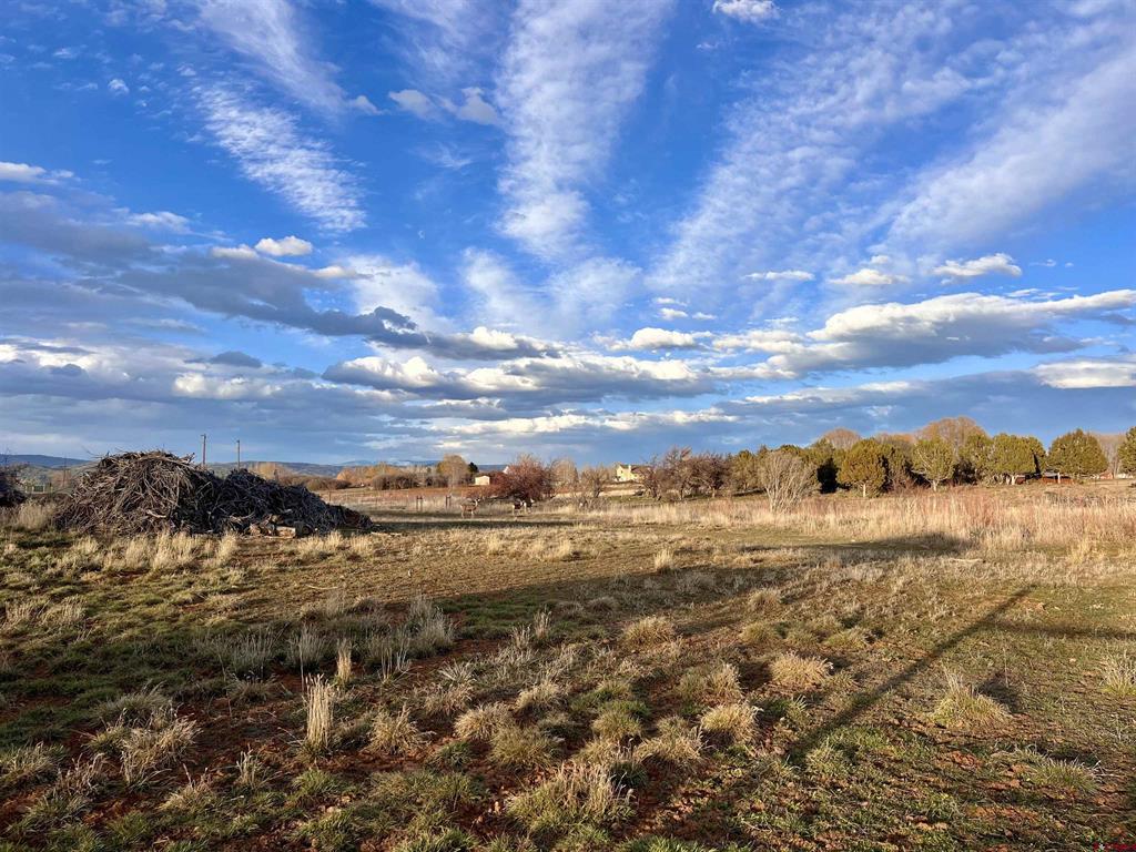 478 Highway 172 Durango CO 81303