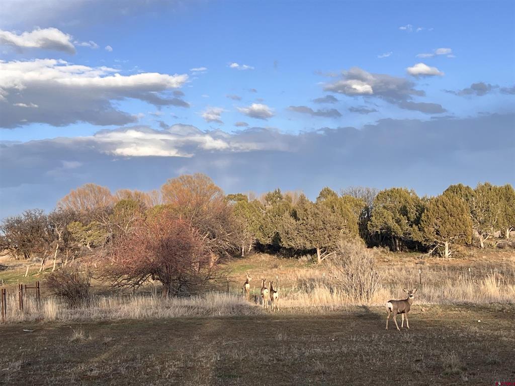 478 Highway 172 Durango CO 81303