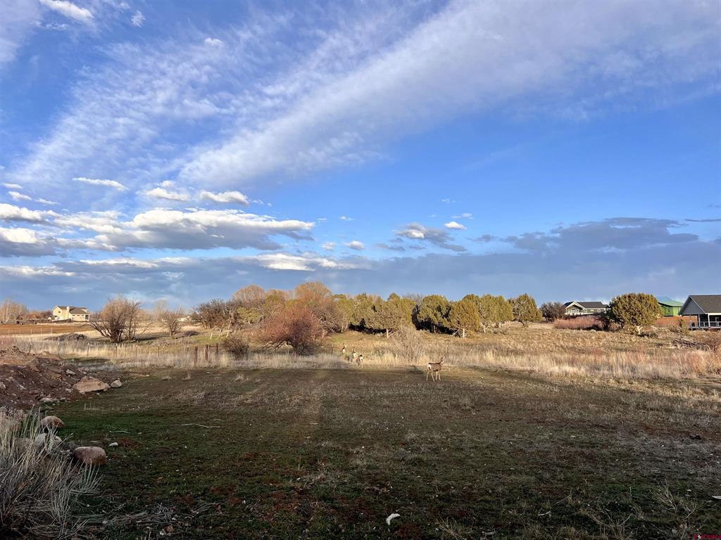 478 Highway 172 Durango CO 81303