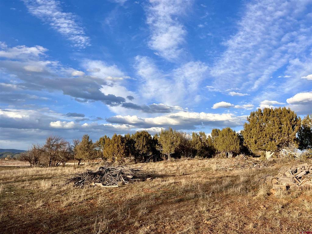 478 Highway 172 Durango CO 81303