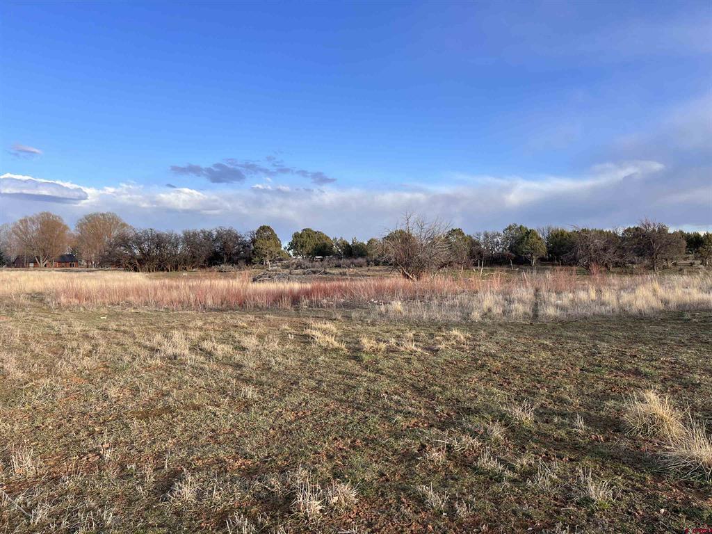 478 Highway 172 Durango CO 81303