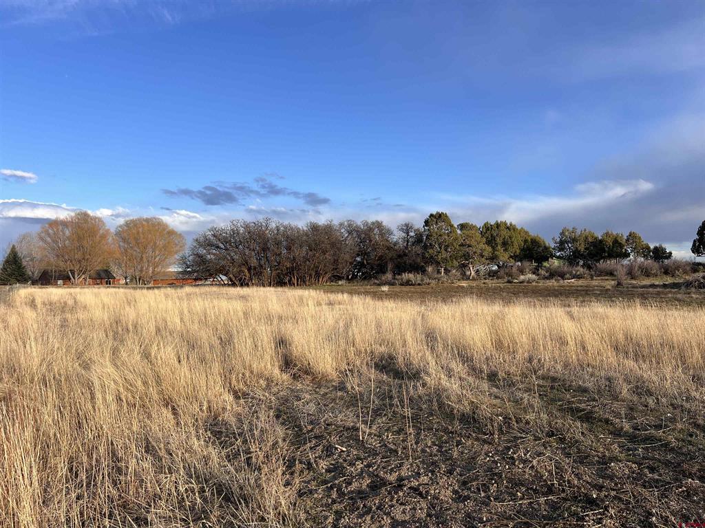 478 Highway 172 Durango CO 81303