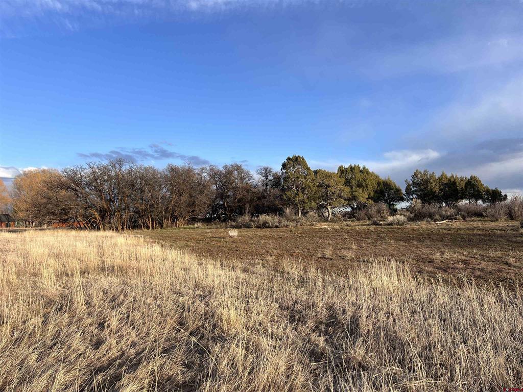 478 Highway 172 Durango CO 81303
