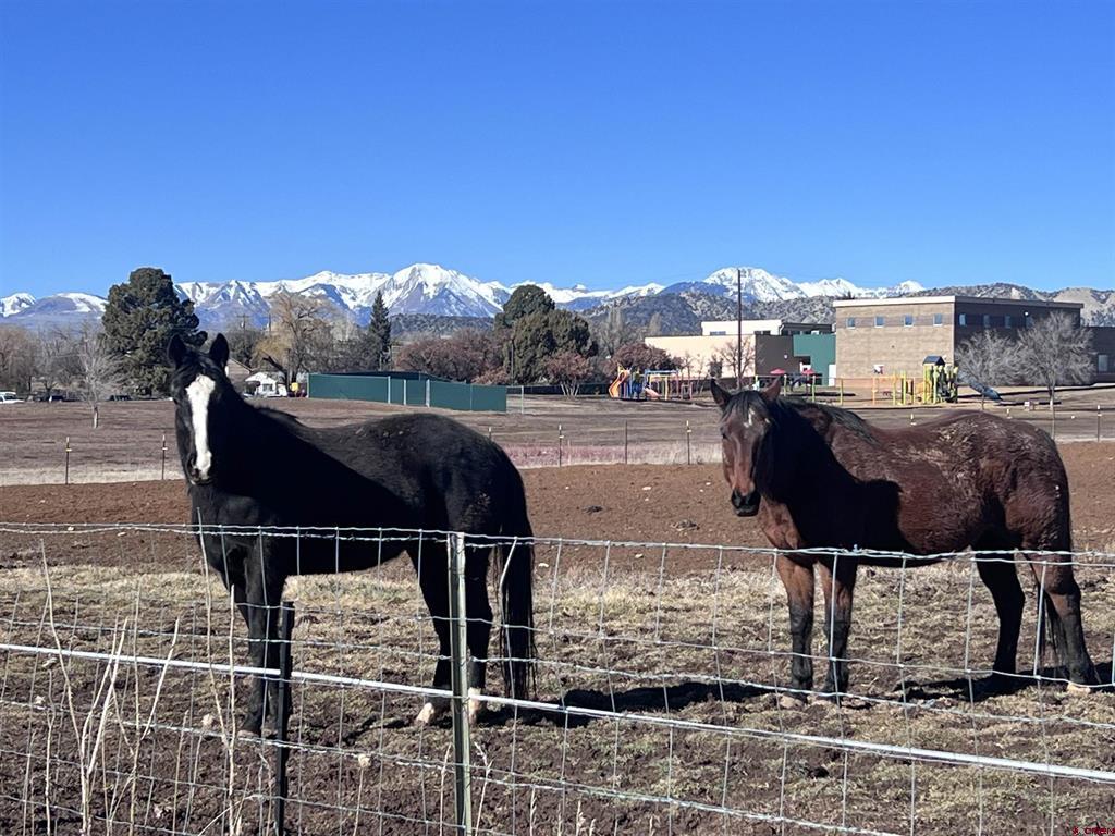 478 Highway 172 Durango CO 81303