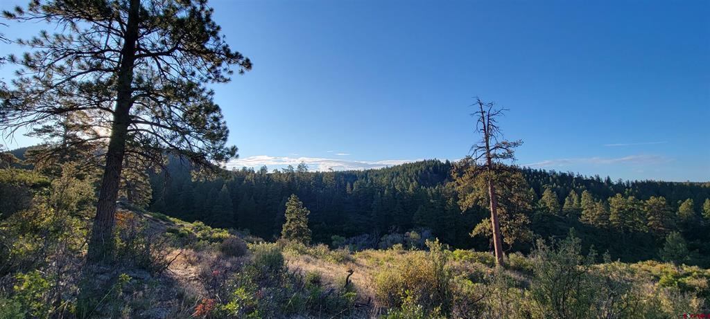 Lot 4 Beaver Creek Ranch Drive Bayfield CO 81122