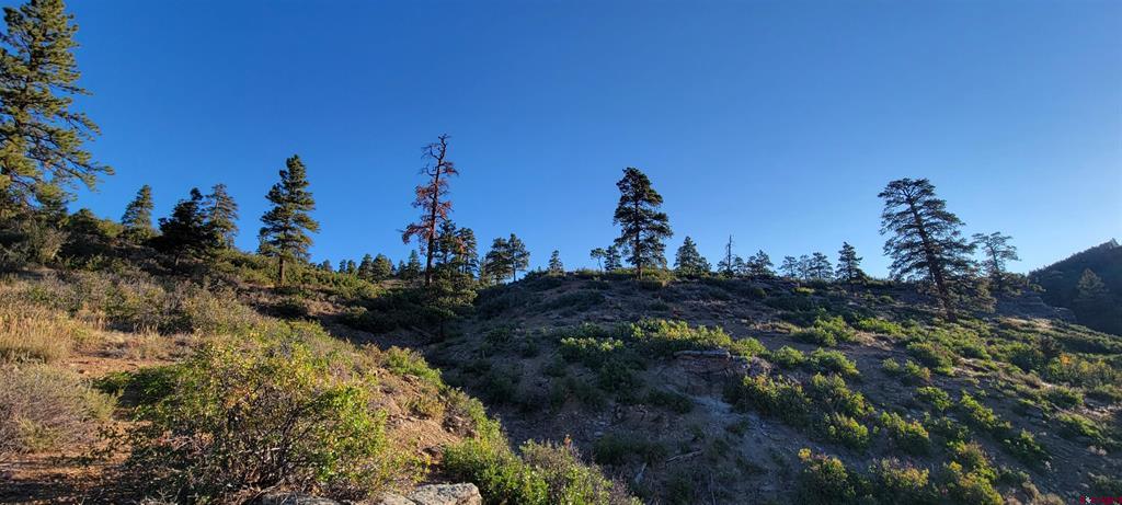 Lot 4 Beaver Creek Ranch Drive Bayfield CO 81122