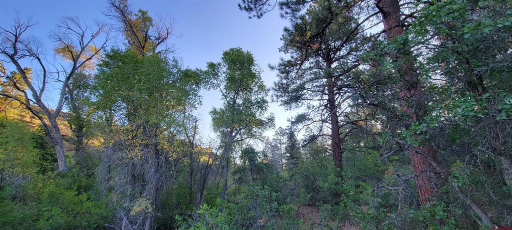 Lot 4 Beaver Creek Ranch Drive Bayfield CO 81122