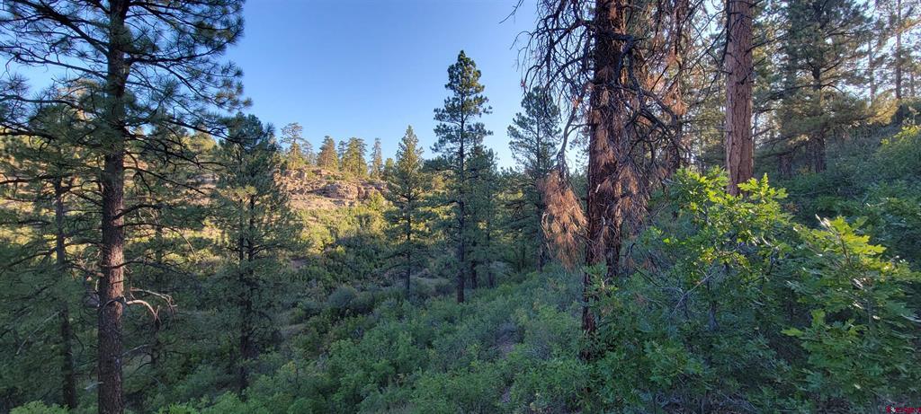 Lot 4 Beaver Creek Ranch Drive Bayfield CO 81122