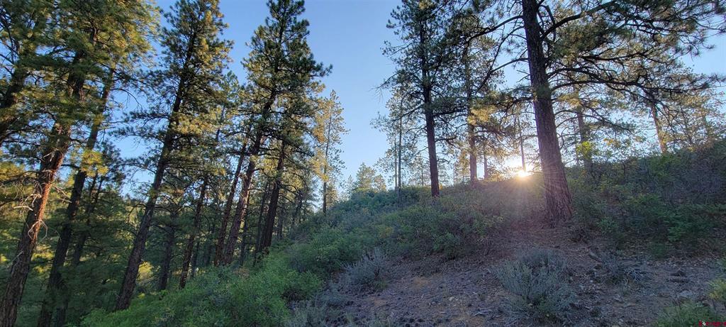 Lot 4 Beaver Creek Ranch Drive Bayfield CO 81122