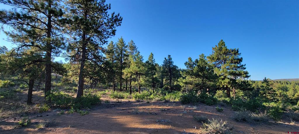 Lot 4 Beaver Creek Ranch Drive Bayfield CO 81122