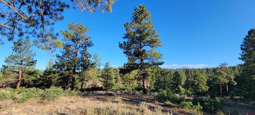Lot 4 Beaver Creek Ranch Drive Bayfield CO 81122