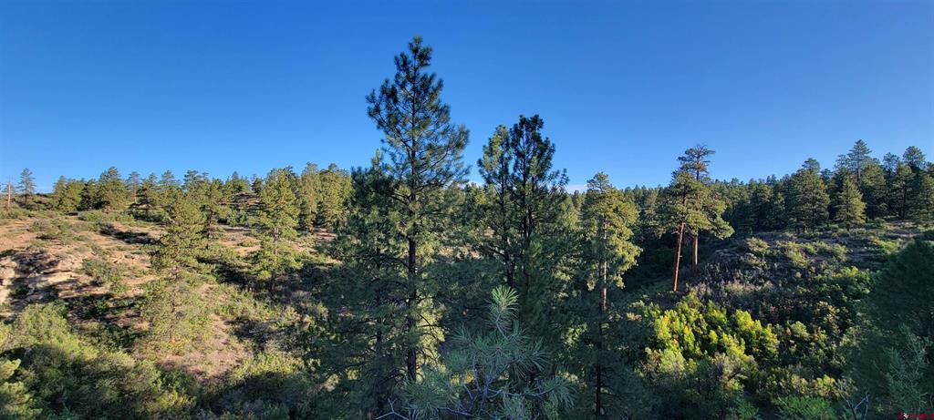 Lot 4 Beaver Creek Ranch Drive Bayfield CO 81122