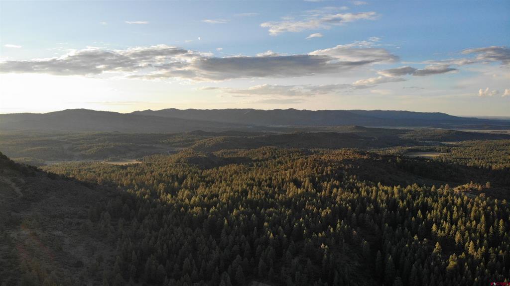 Lot 4 Beaver Creek Ranch Drive Bayfield CO 81122
