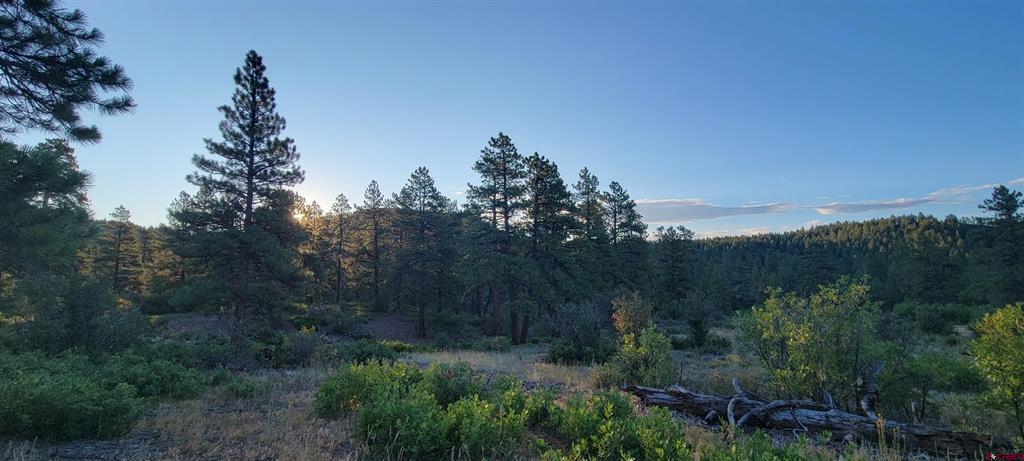 Lot 4 Beaver Creek Ranch Drive Bayfield CO 81122