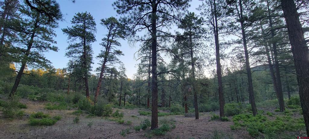 Lot 4 Beaver Creek Ranch Drive Bayfield CO 81122