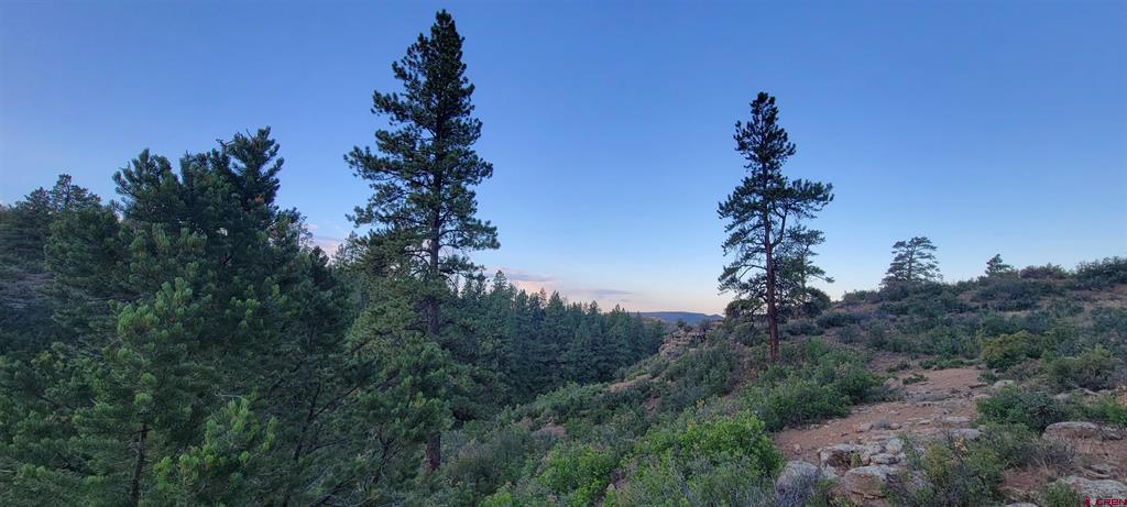 Lot 4 Beaver Creek Ranch Drive Bayfield CO 81122