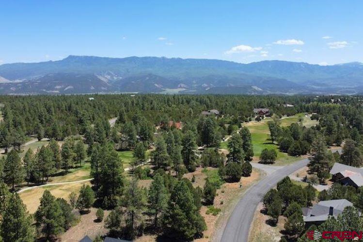 1640 Marmot Drive Ridgway CO 81432