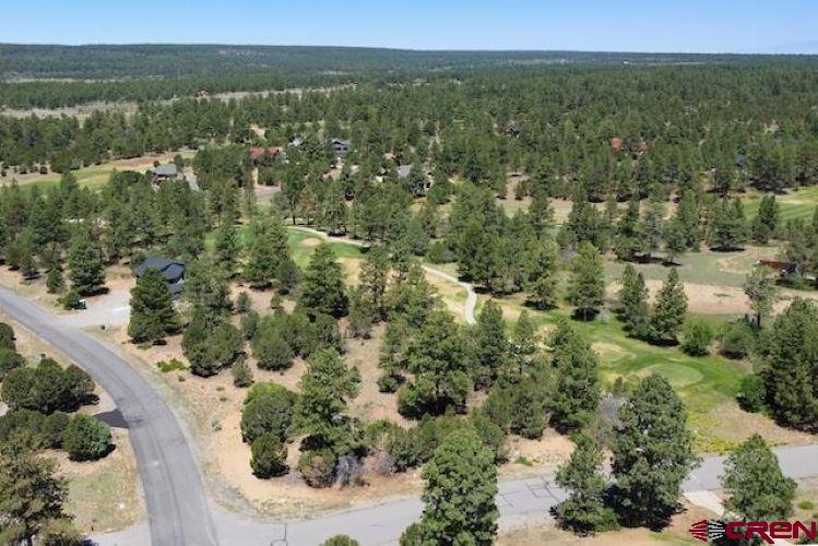 1640 Marmot Drive Ridgway CO 81432