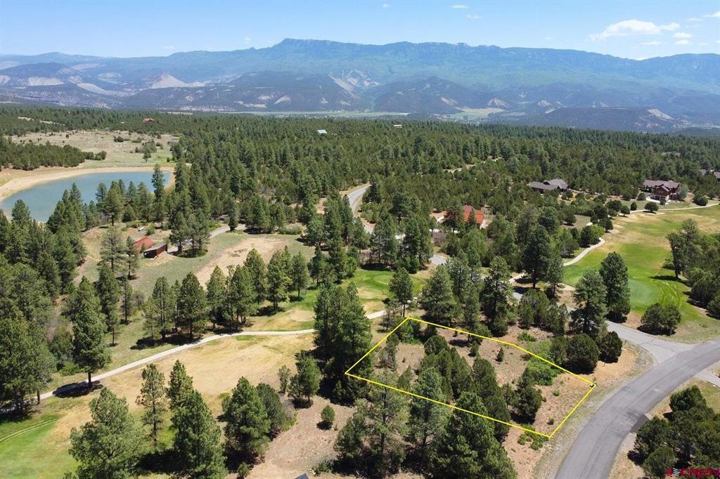 1640 Marmot Drive Ridgway CO 81432