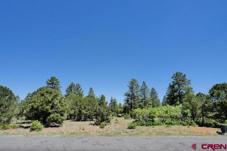 1640 Marmot Drive Ridgway CO 81432
