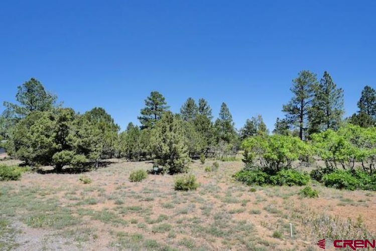 1640 Marmot Drive Ridgway CO 81432