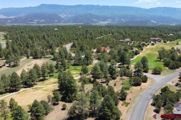 1640 Marmot Drive Ridgway CO 81432