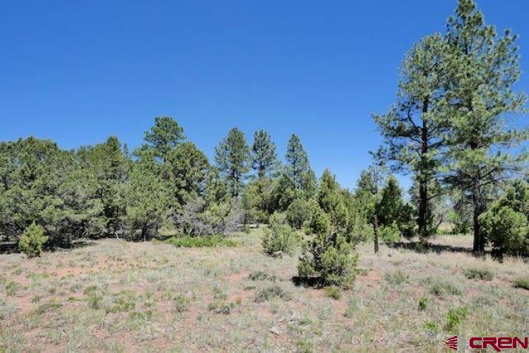 1640 Marmot Drive Ridgway CO 81432