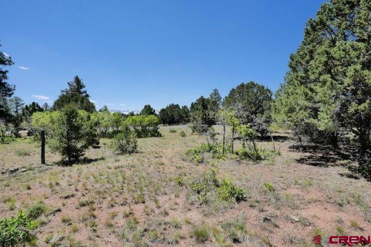 1640 Marmot Drive Ridgway CO 81432