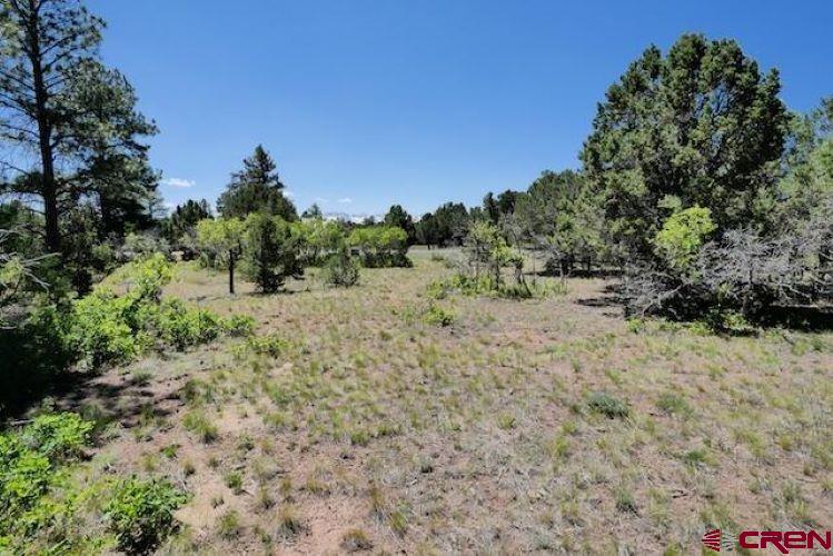 1640 Marmot Drive Ridgway CO 81432