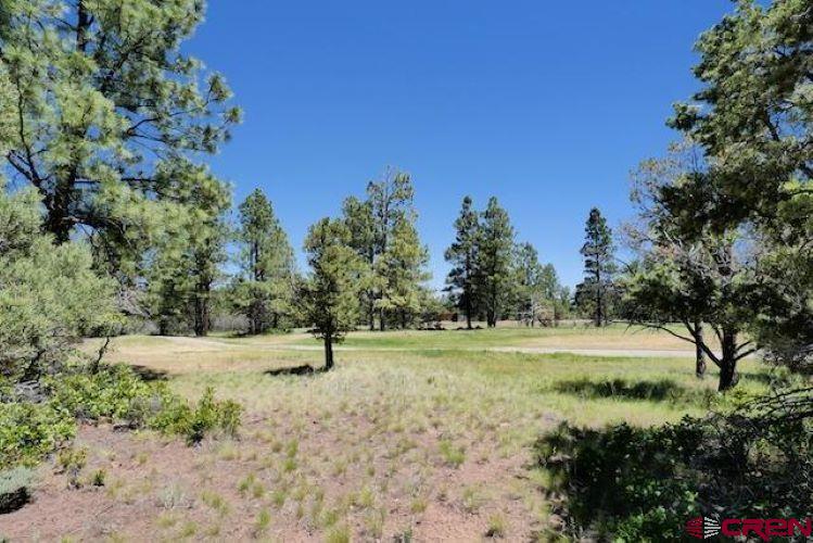 1640 Marmot Drive Ridgway CO 81432