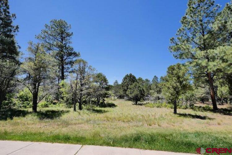 1640 Marmot Drive Ridgway CO 81432