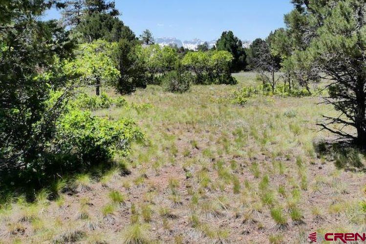 1640 Marmot Drive Ridgway CO 81432