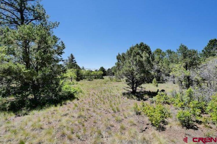 1640 Marmot Drive Ridgway CO 81432