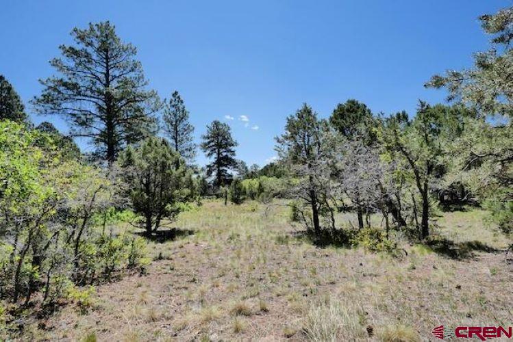 1640 Marmot Drive Ridgway CO 81432