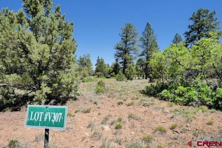 1640 Marmot Drive Ridgway CO 81432